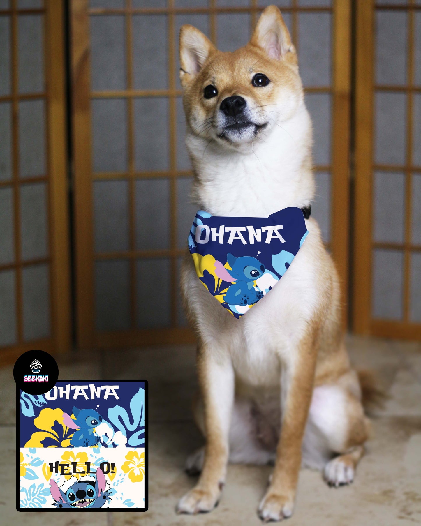 Ohana Bandana & Collar