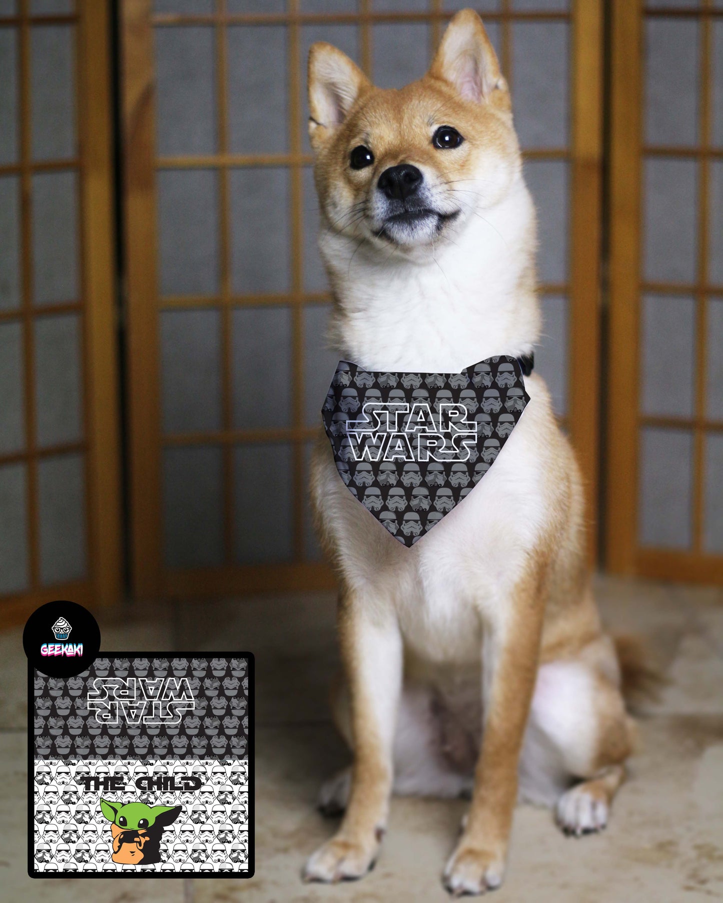 The Child Bandana & Collar