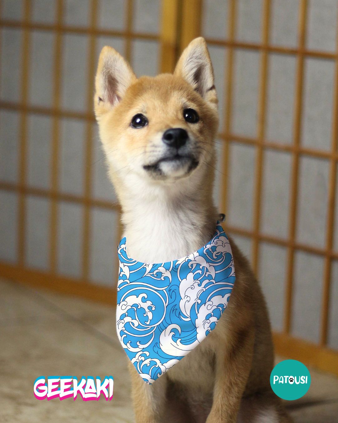 Pet Collars