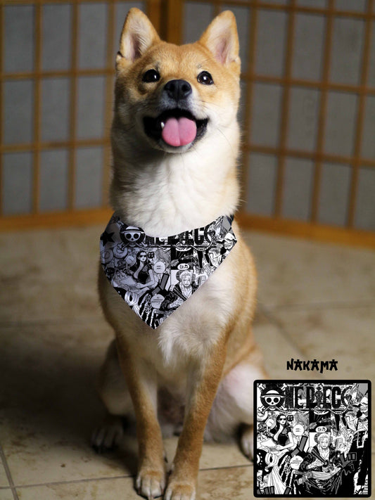 Nakama Bandana & Collar