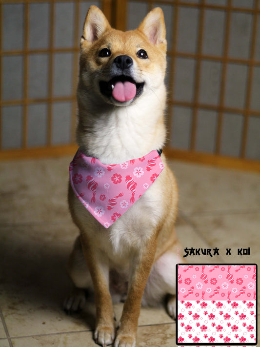 Sakura X Koi Bandana & Collar