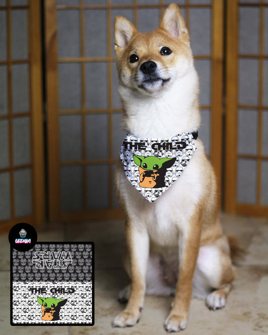 The Child Bandana & Collar